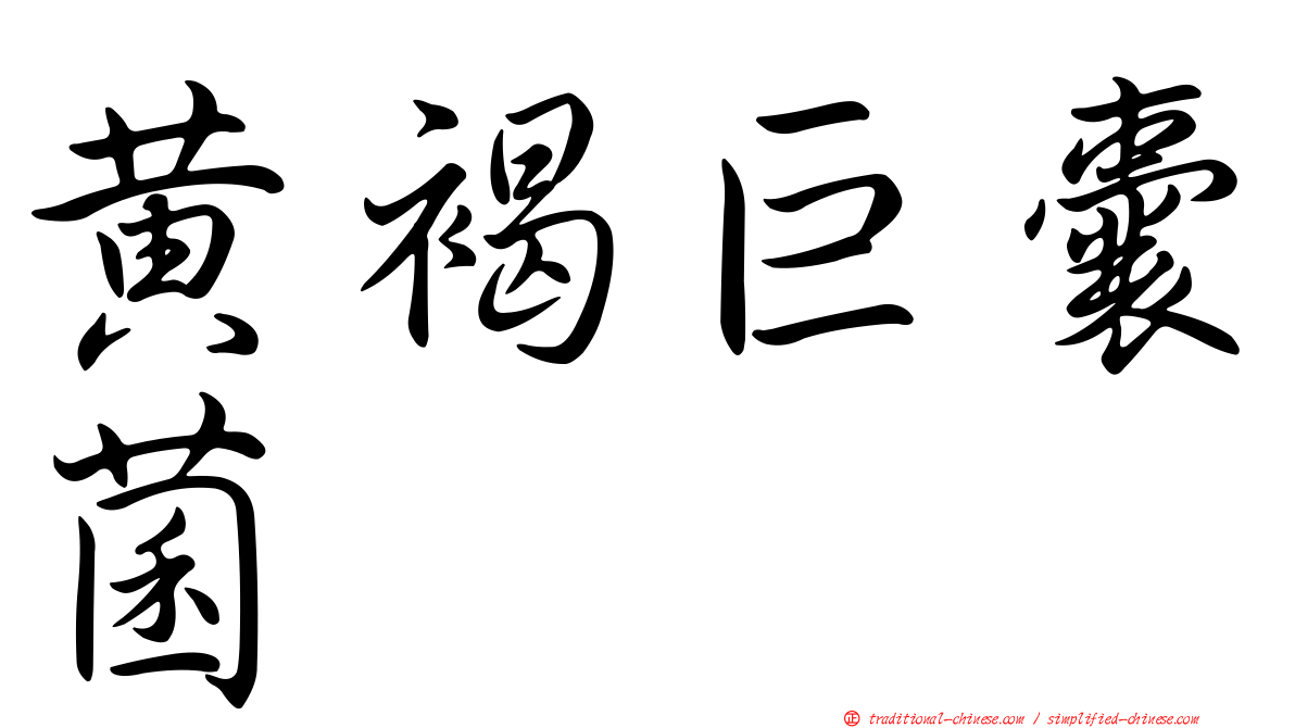 黃褐巨囊菌
