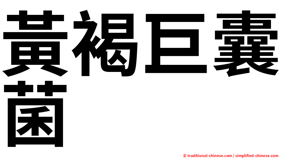 黃褐巨囊菌