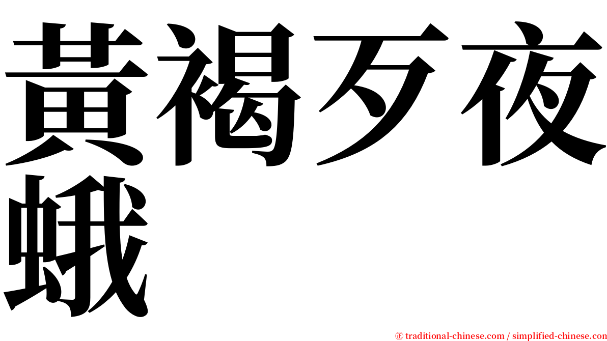 黃褐歹夜蛾 serif font