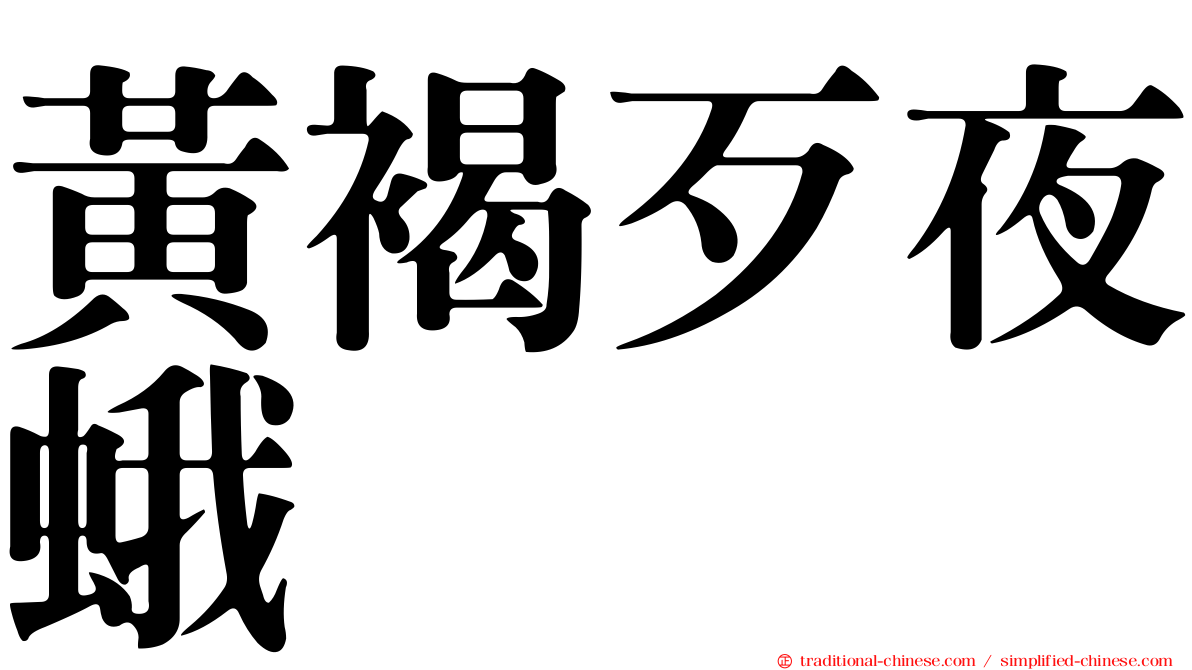 黃褐歹夜蛾