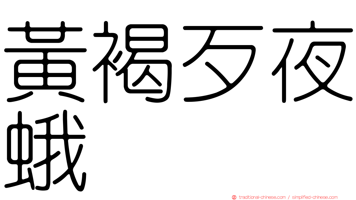 黃褐歹夜蛾