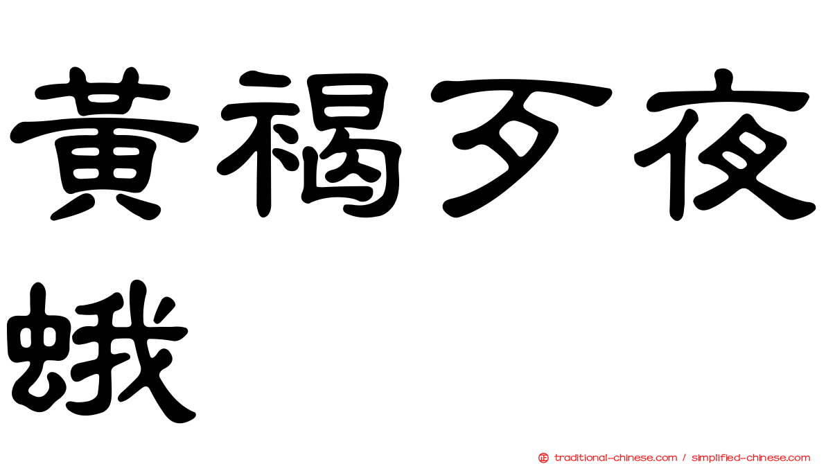 黃褐歹夜蛾