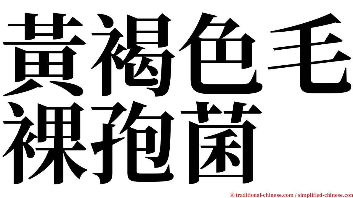 黃褐色毛裸孢菌 serif font