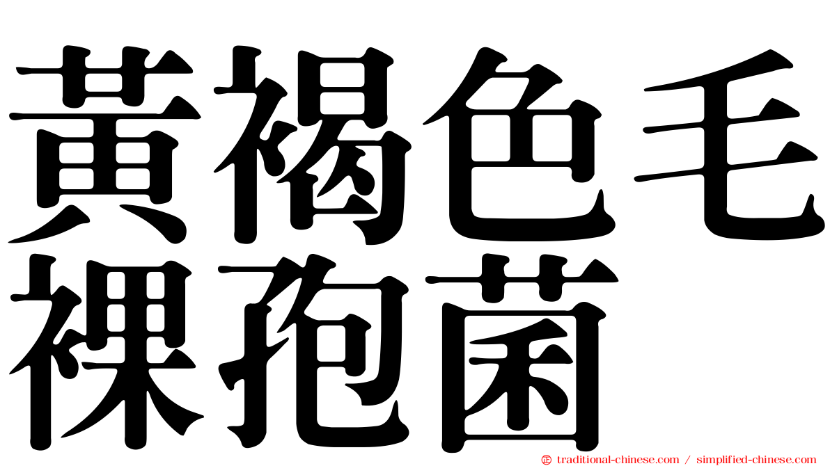 黃褐色毛裸孢菌