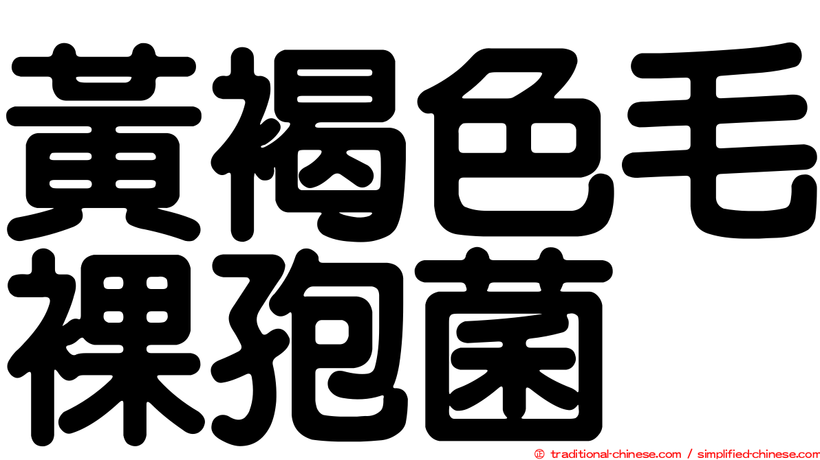 黃褐色毛裸孢菌