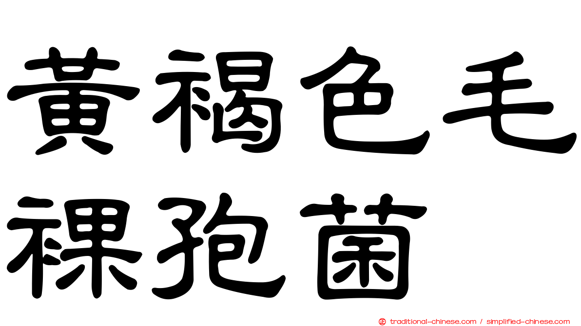 黃褐色毛裸孢菌