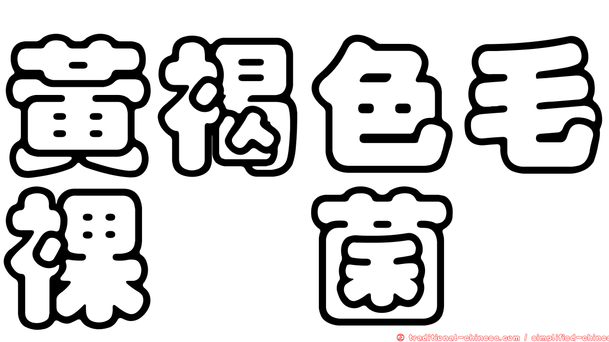 黃褐色毛裸孢菌