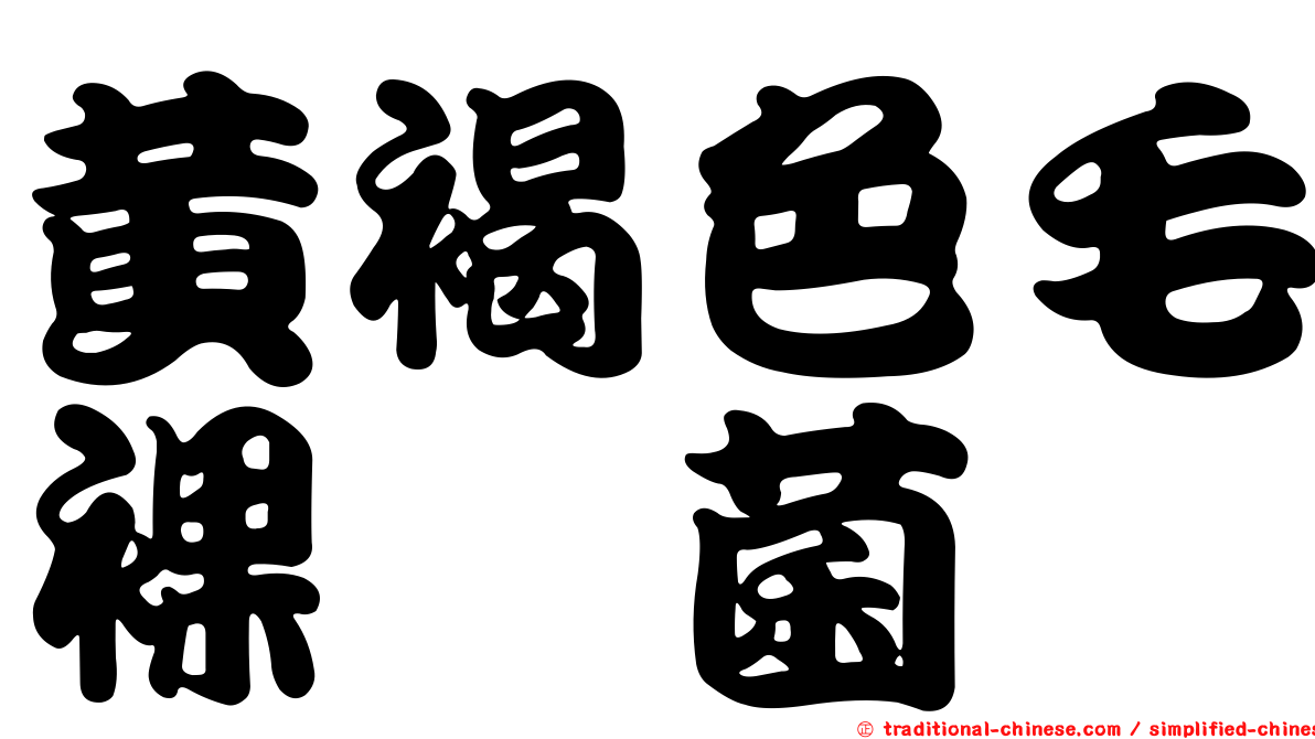 黃褐色毛裸孢菌