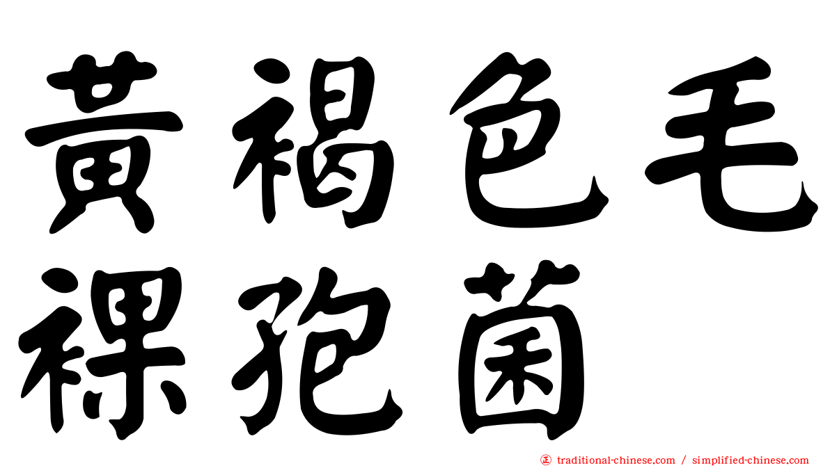 黃褐色毛裸孢菌