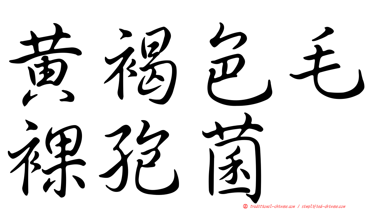 黃褐色毛裸孢菌