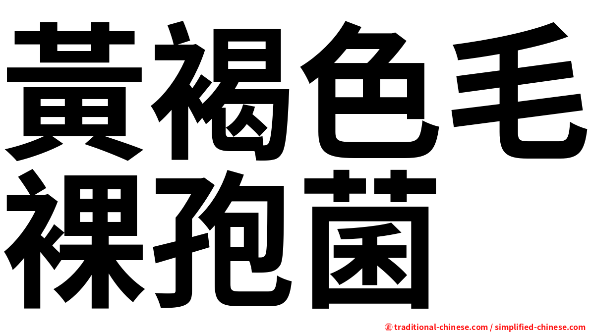 黃褐色毛裸孢菌