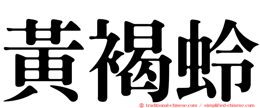 黃褐蛉
