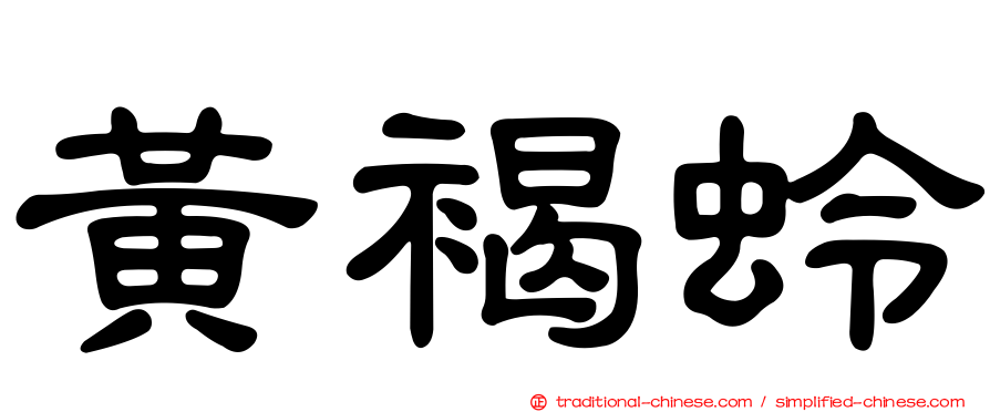 黃褐蛉