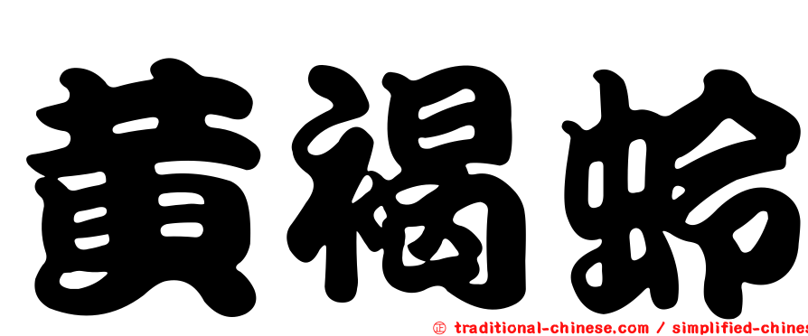 黃褐蛉