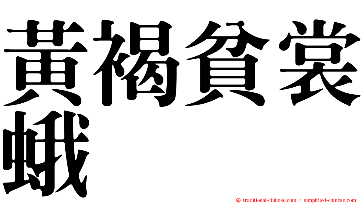 黃褐貧裳蛾