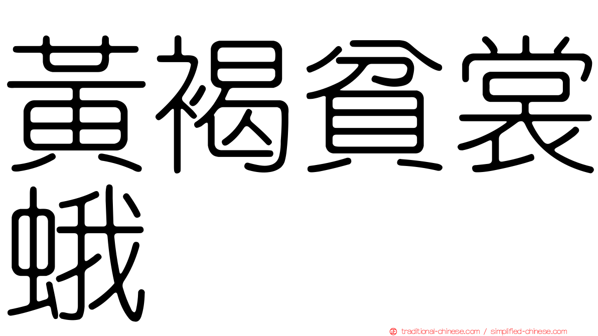 黃褐貧裳蛾