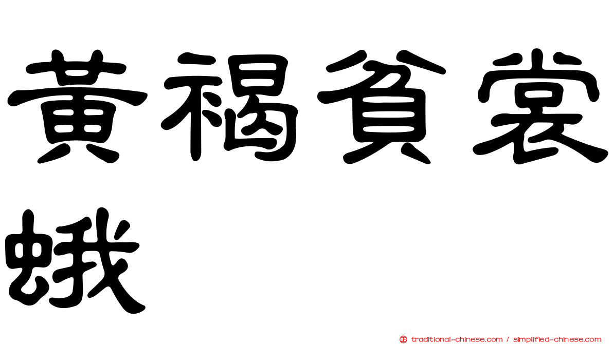 黃褐貧裳蛾