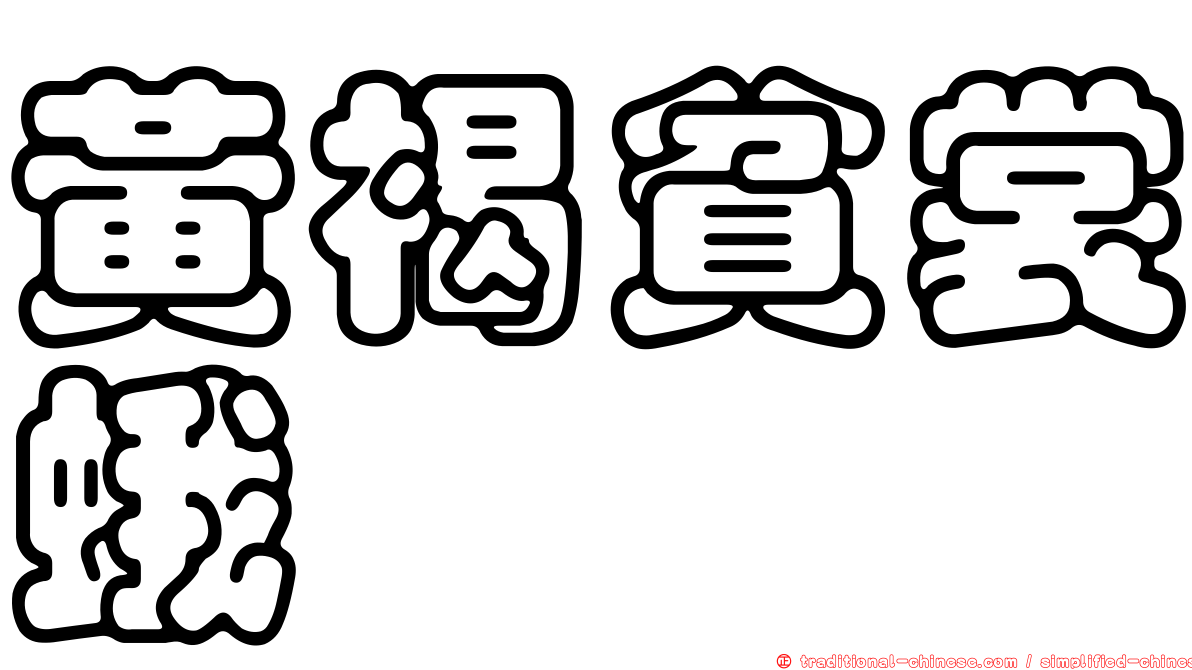 黃褐貧裳蛾
