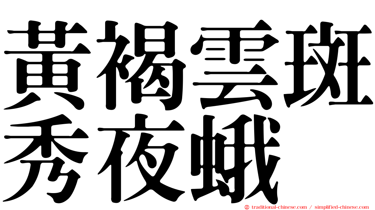 黃褐雲斑秀夜蛾