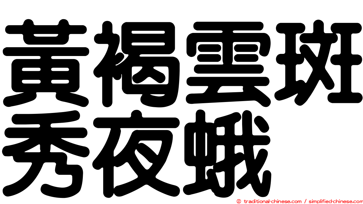 黃褐雲斑秀夜蛾