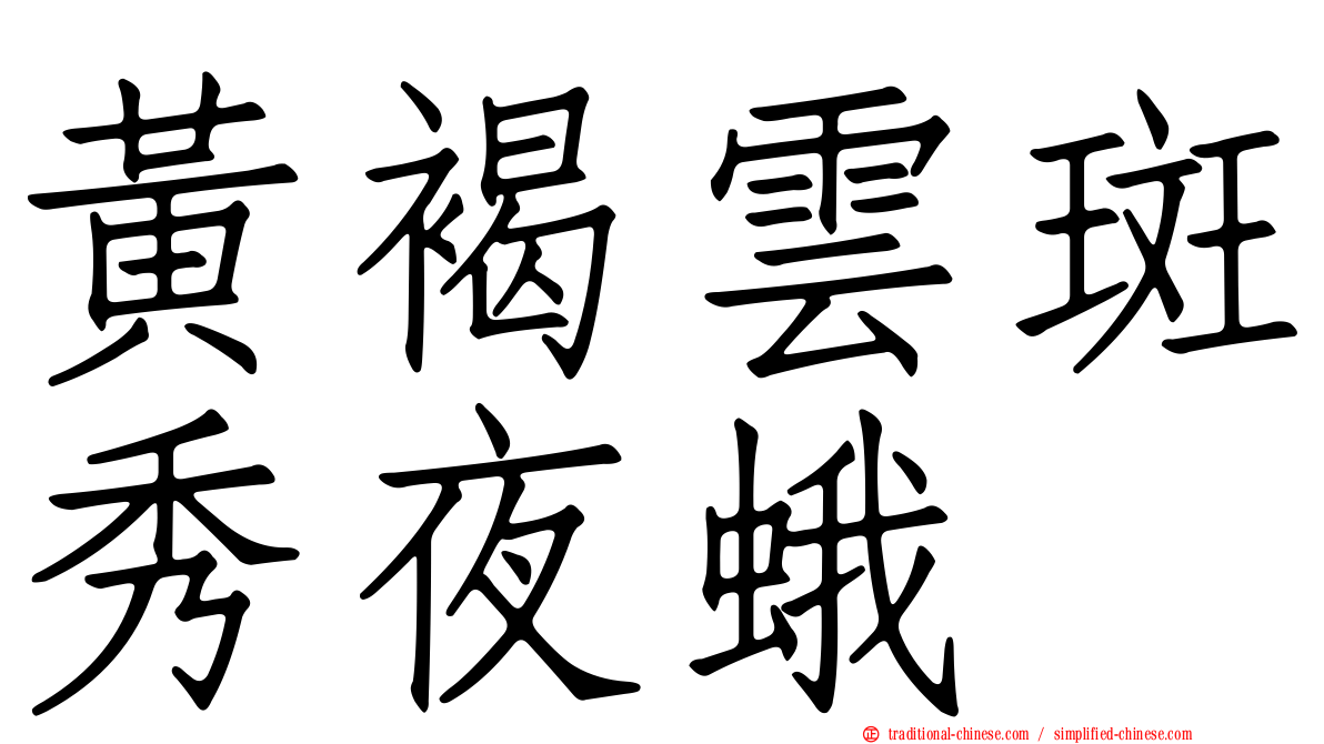 黃褐雲斑秀夜蛾