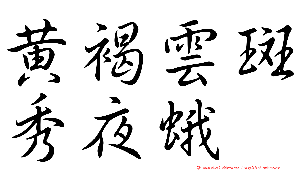 黃褐雲斑秀夜蛾