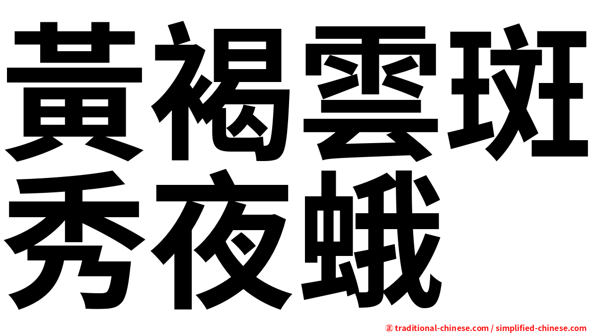 黃褐雲斑秀夜蛾