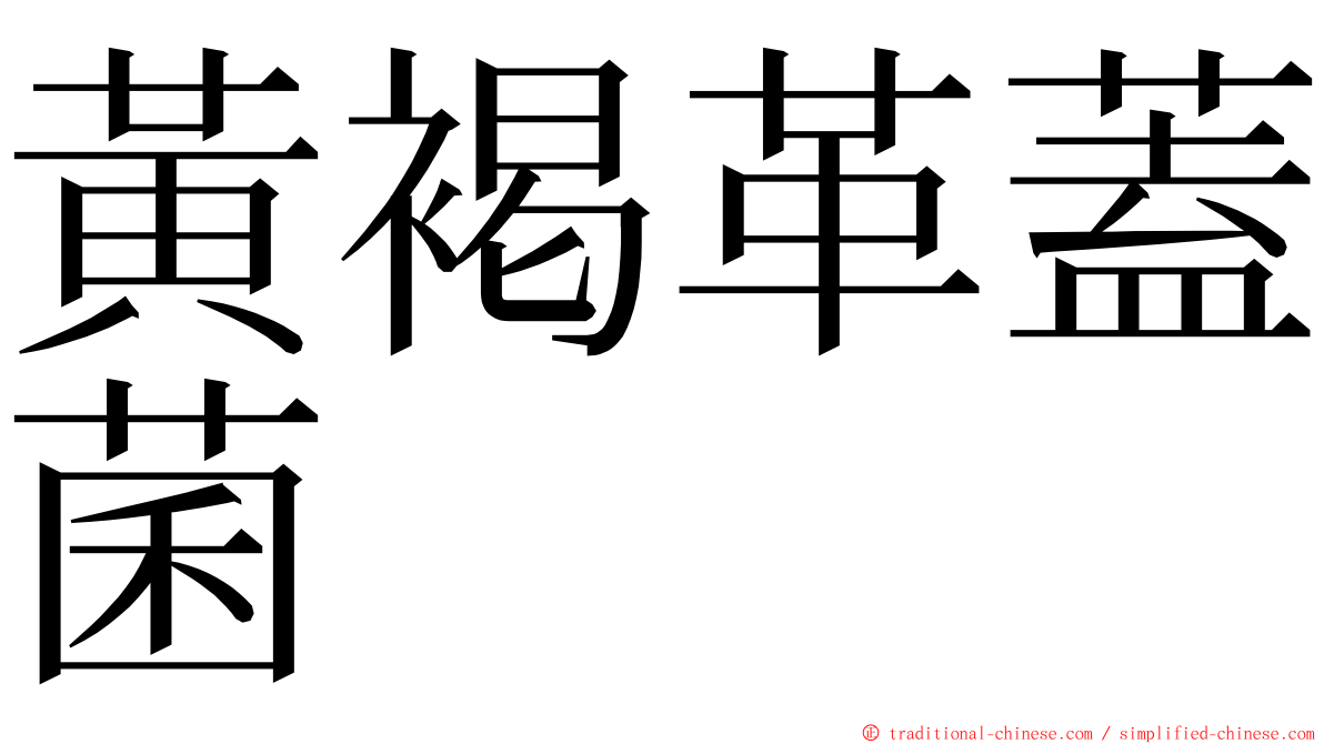 黃褐革蓋菌 ming font