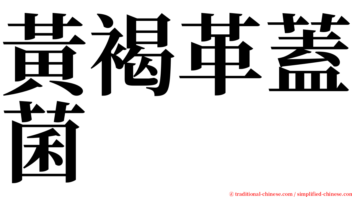 黃褐革蓋菌 serif font