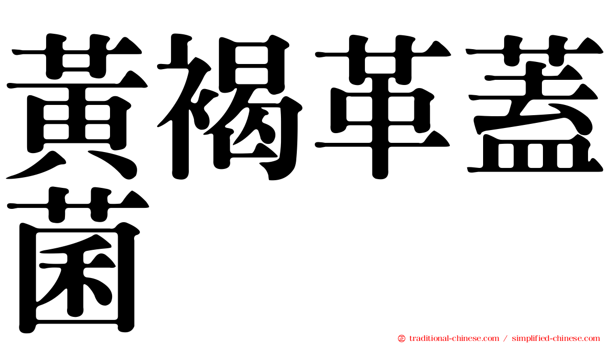 黃褐革蓋菌
