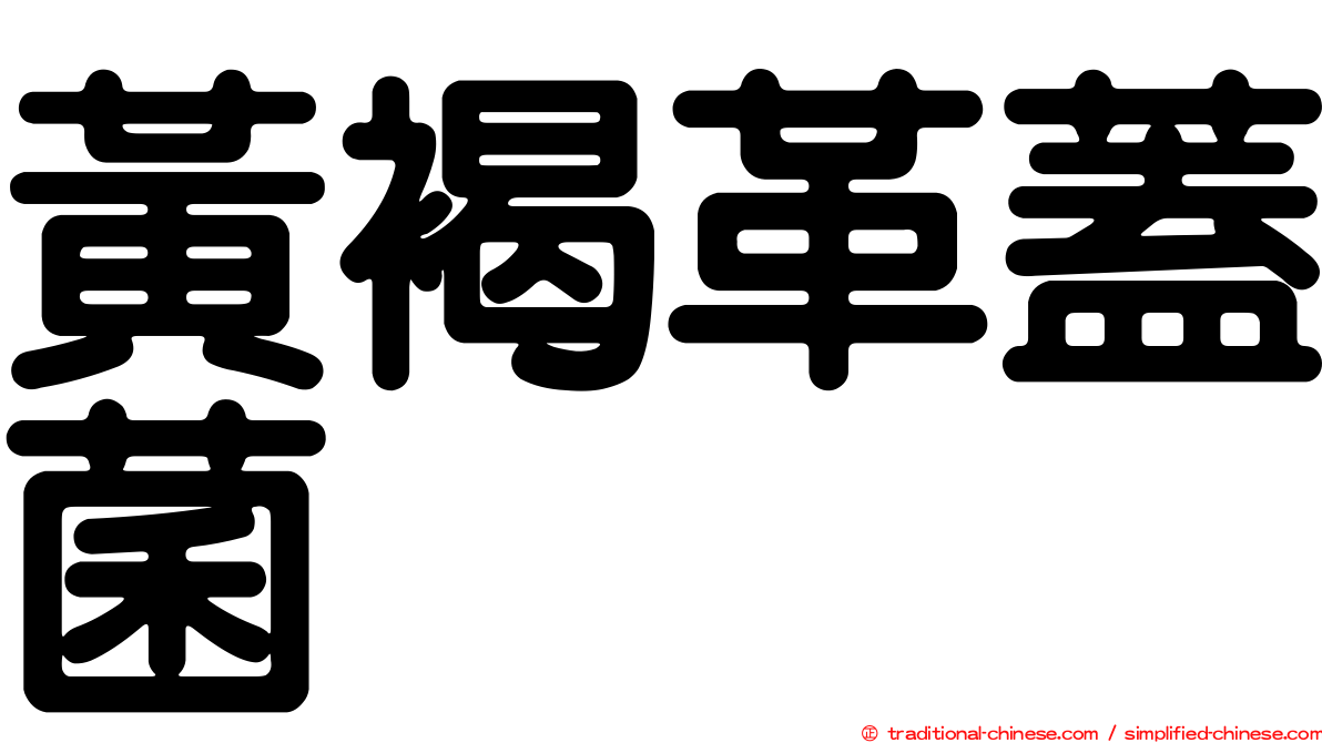 黃褐革蓋菌