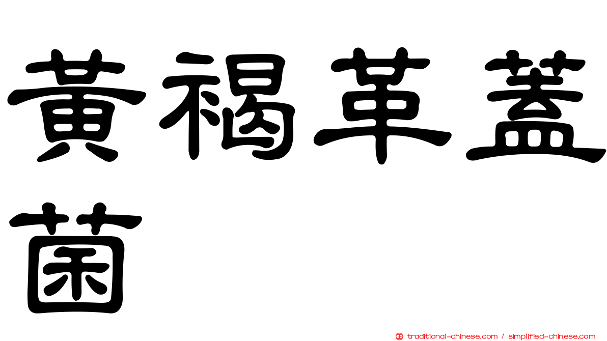 黃褐革蓋菌