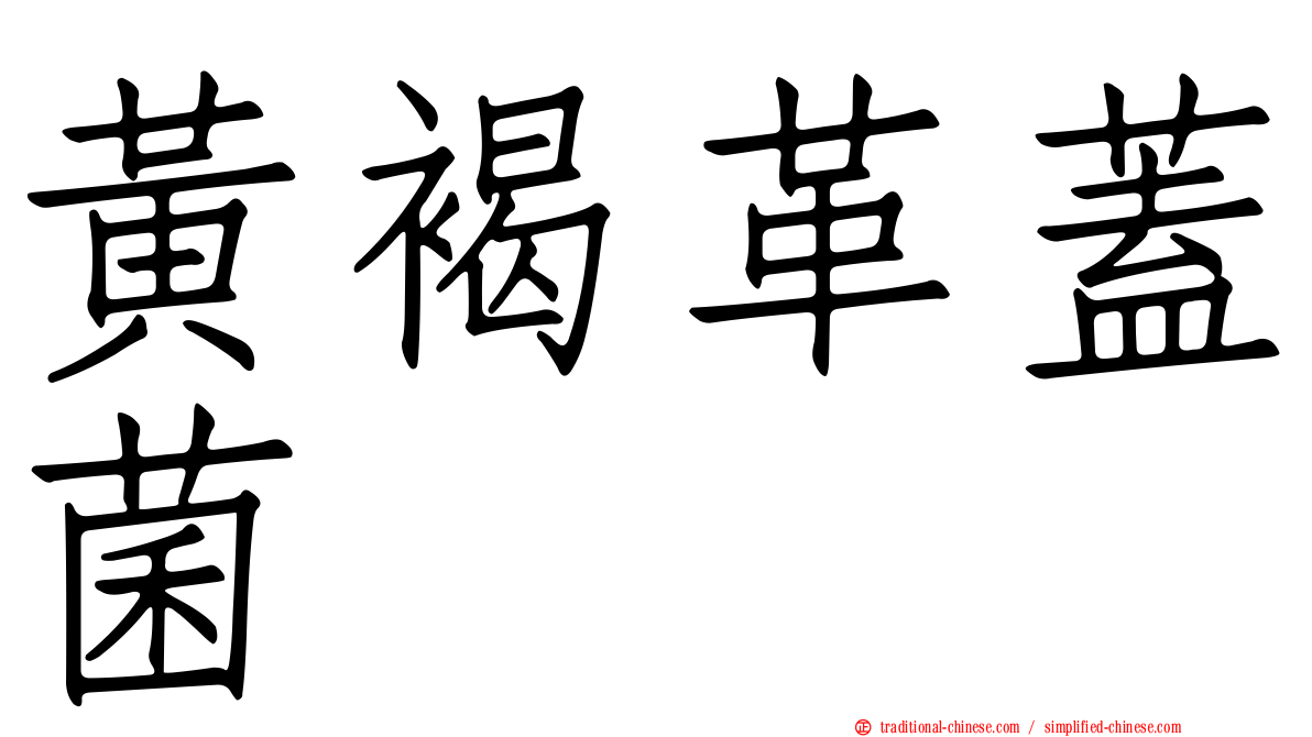 黃褐革蓋菌