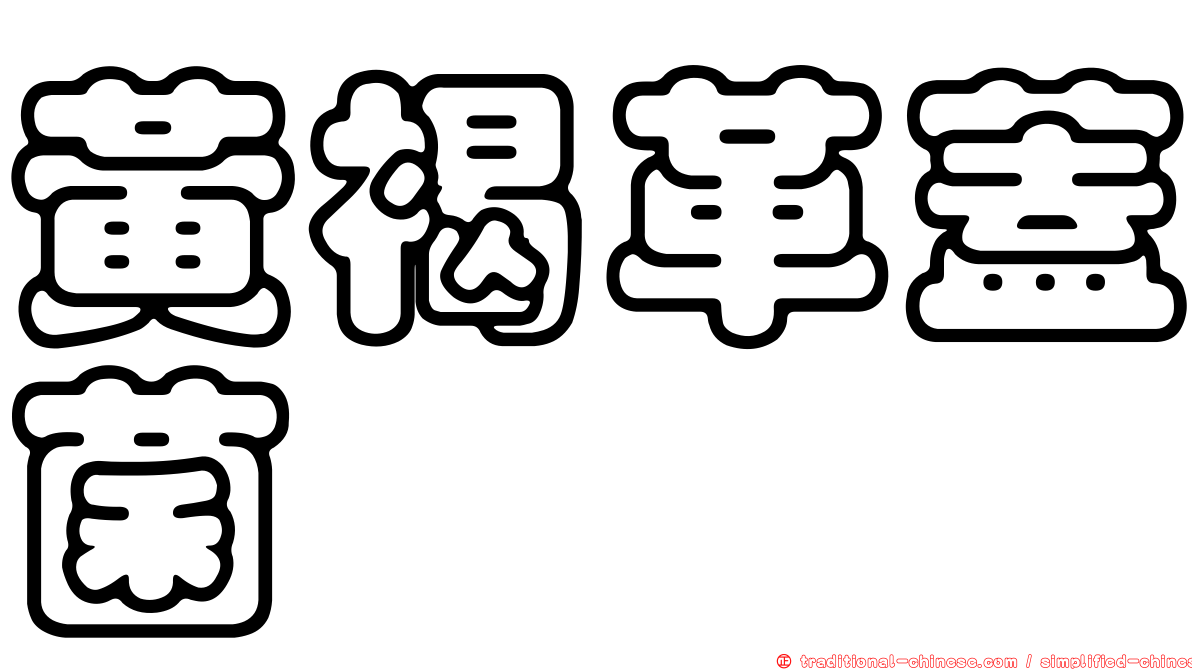 黃褐革蓋菌