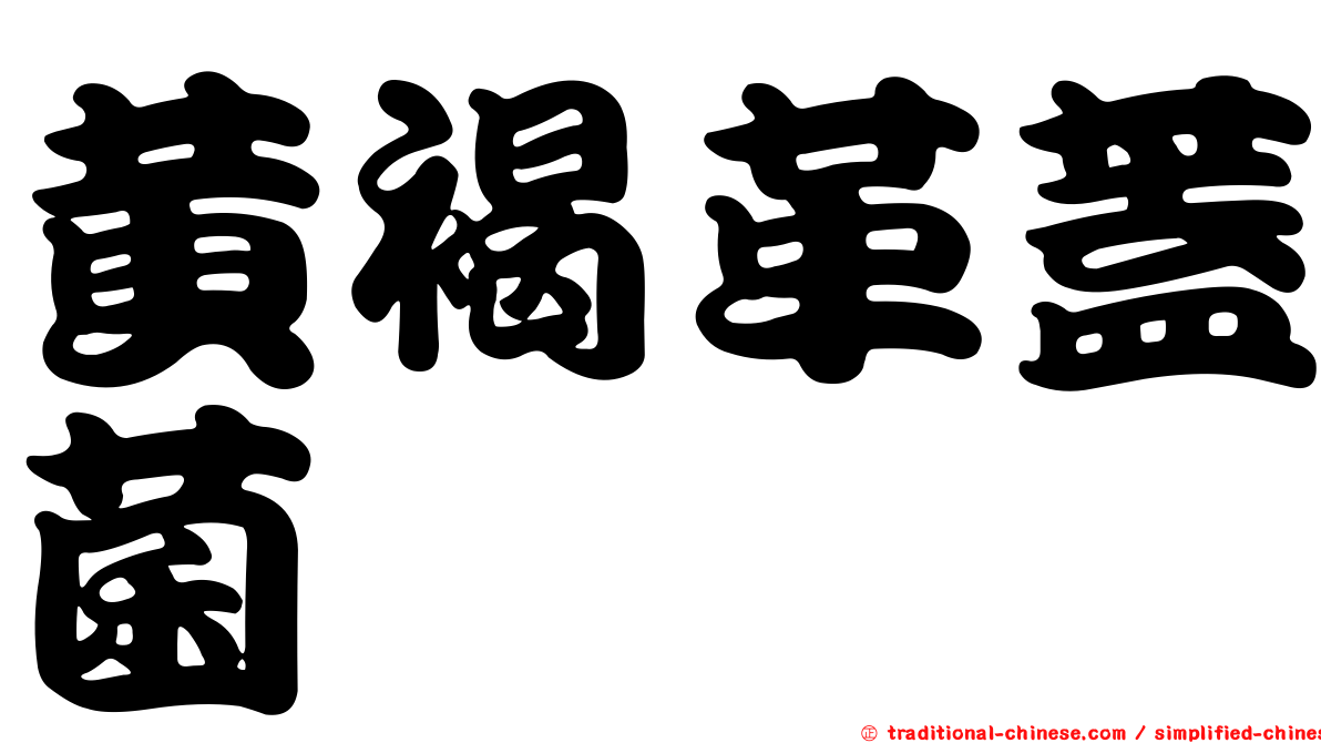 黃褐革蓋菌