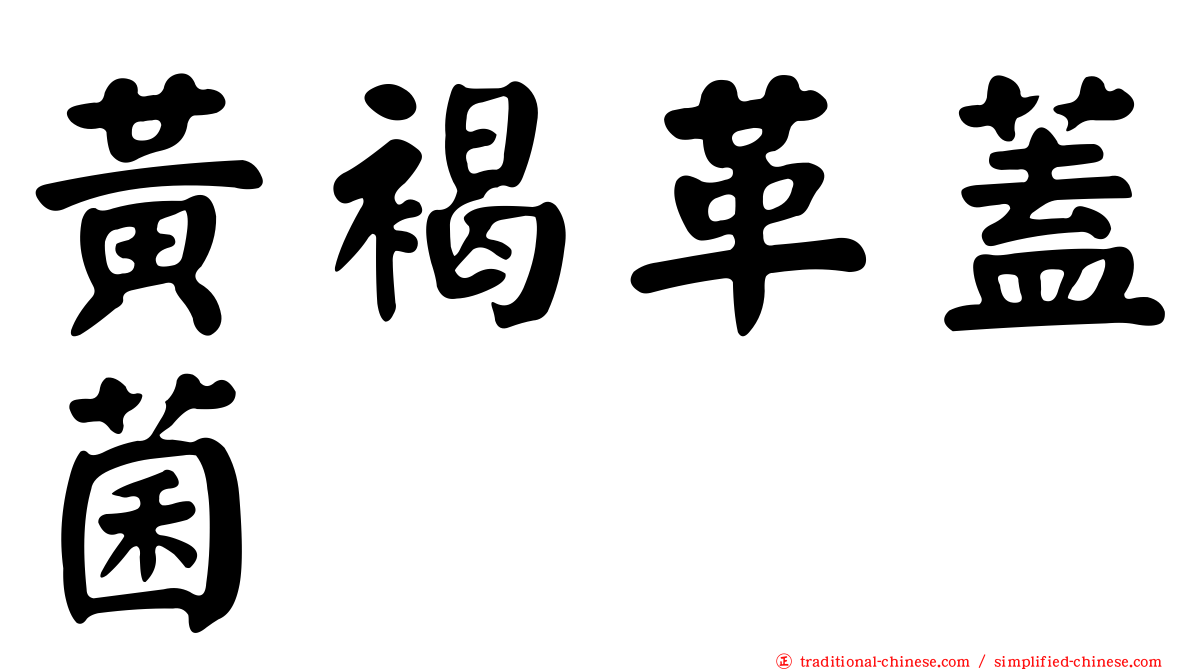 黃褐革蓋菌