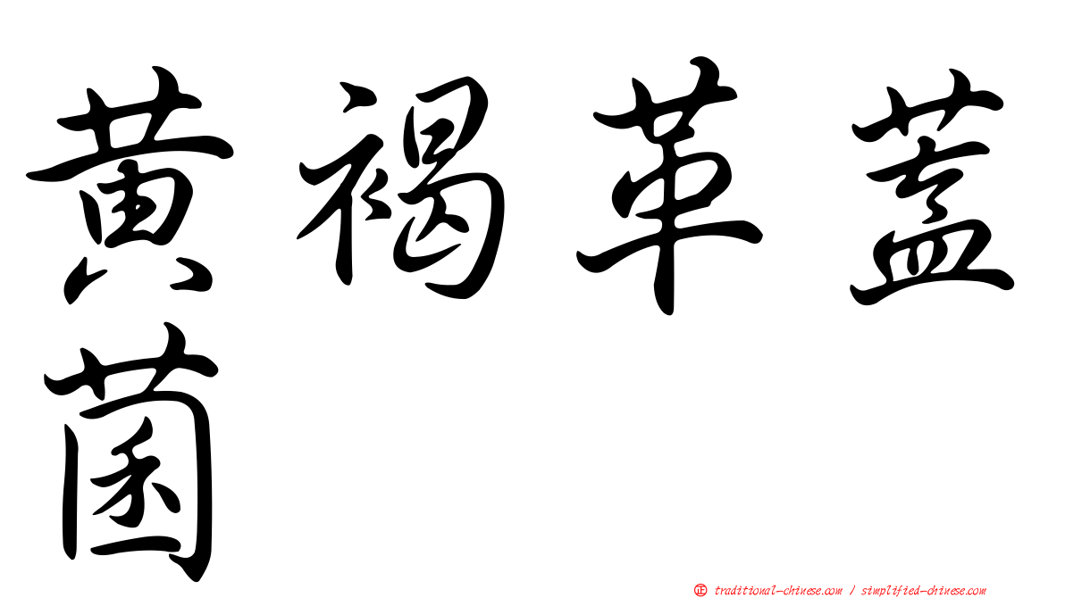 黃褐革蓋菌