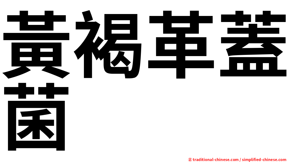 黃褐革蓋菌
