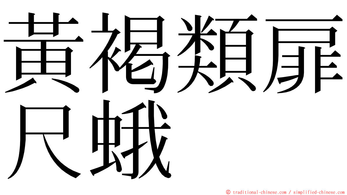 黃褐類扉尺蛾 ming font