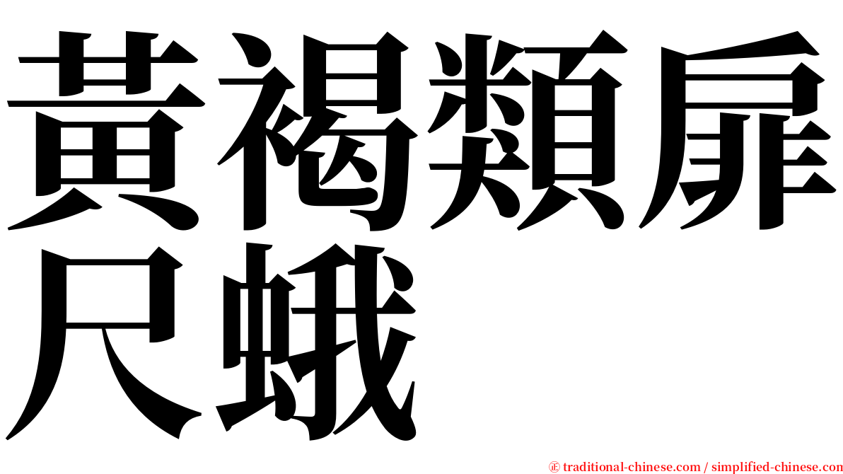 黃褐類扉尺蛾 serif font