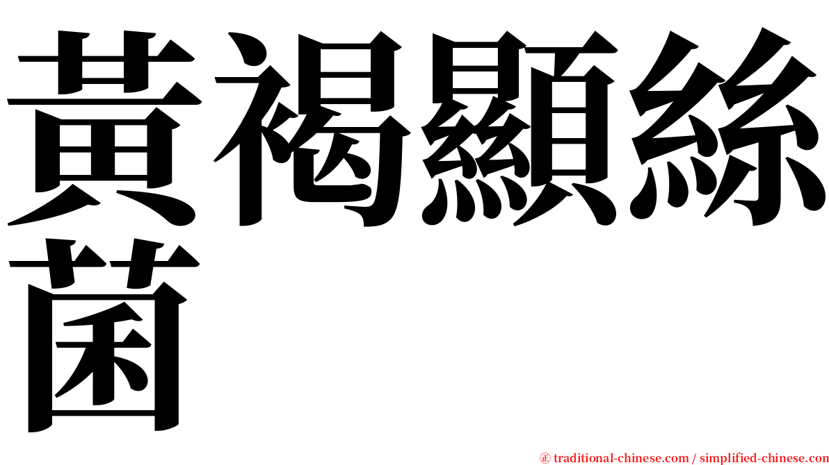 黃褐顯絲菌 serif font