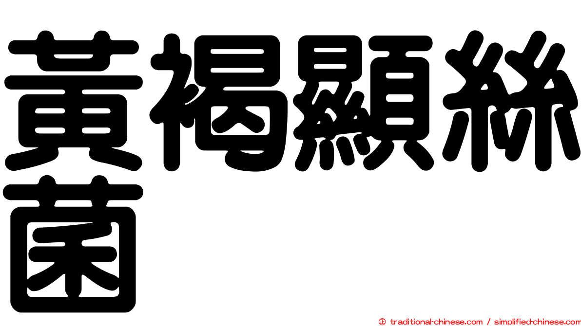 黃褐顯絲菌