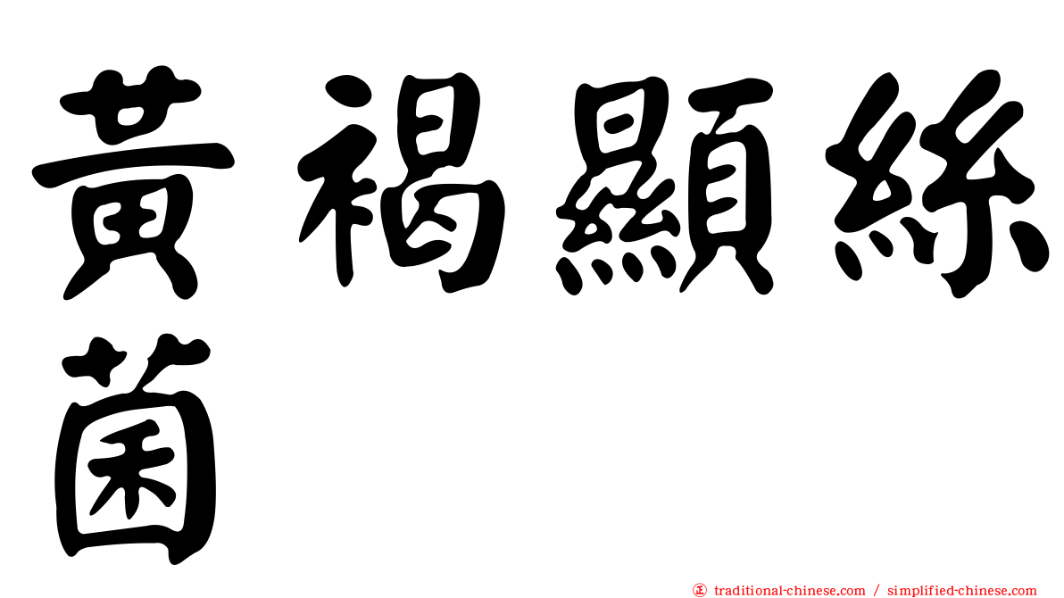 黃褐顯絲菌