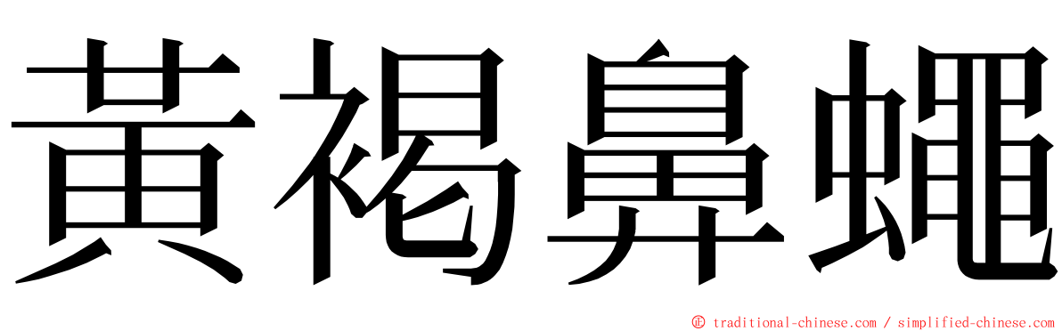 黃褐鼻蠅 ming font