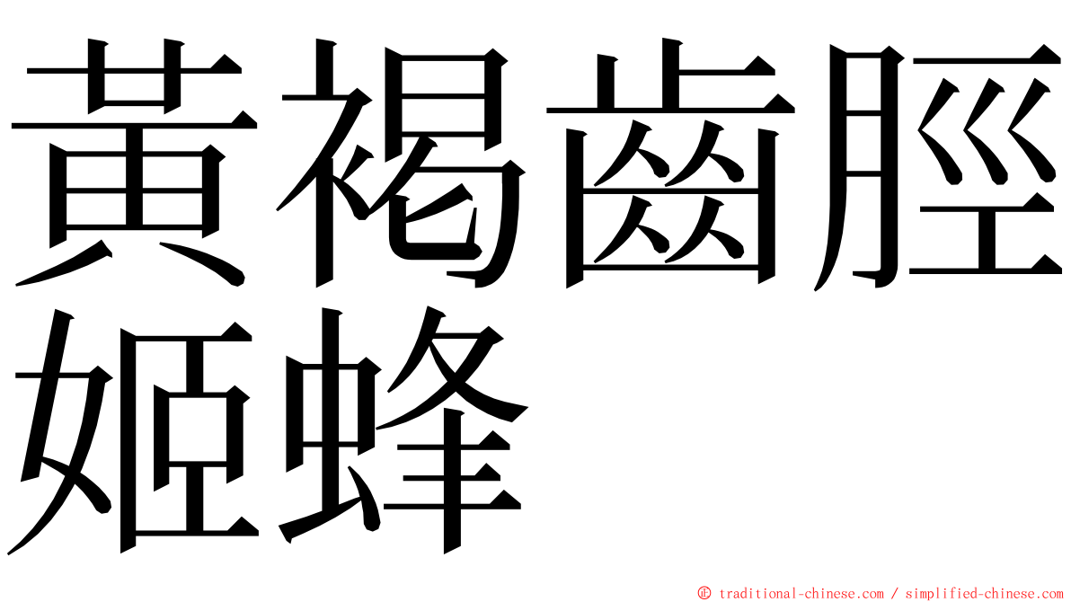 黃褐齒脛姬蜂 ming font
