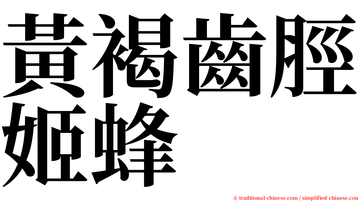 黃褐齒脛姬蜂 serif font