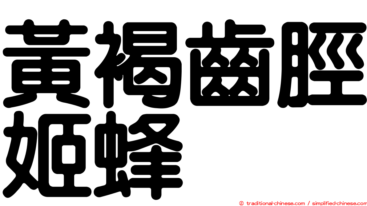 黃褐齒脛姬蜂