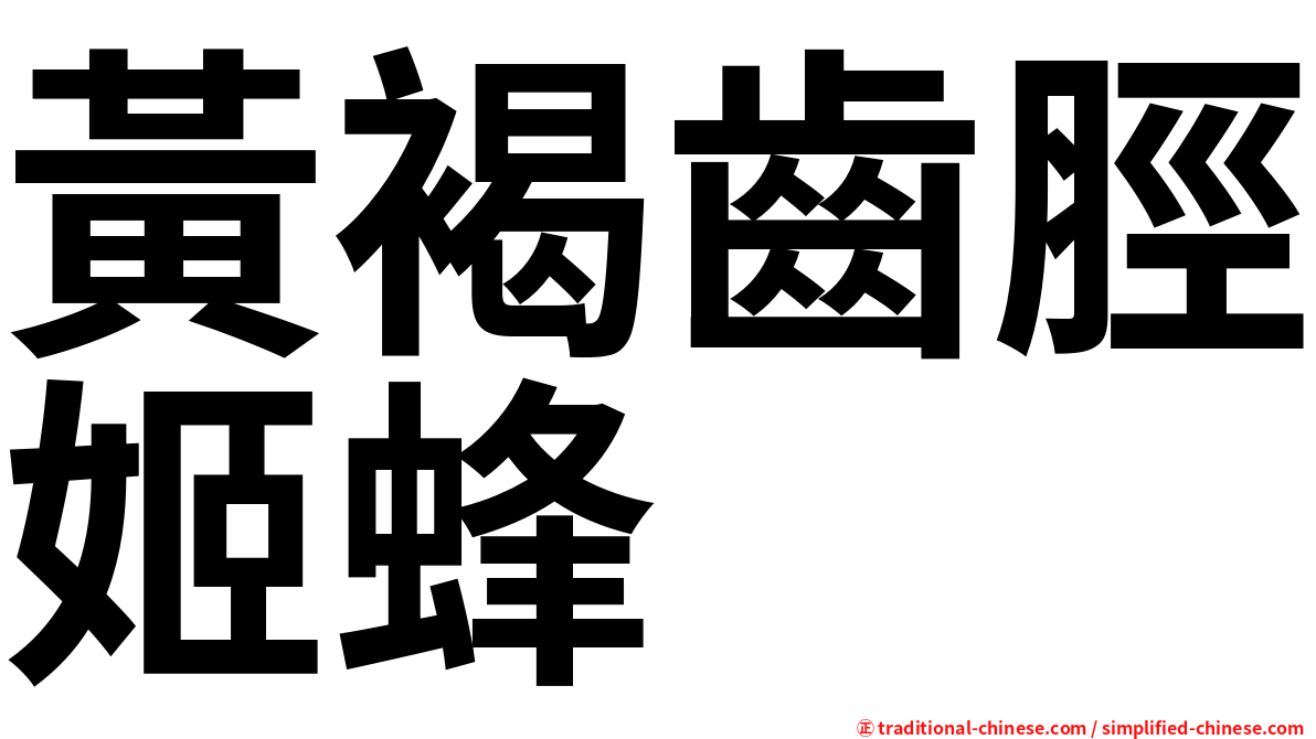 黃褐齒脛姬蜂
