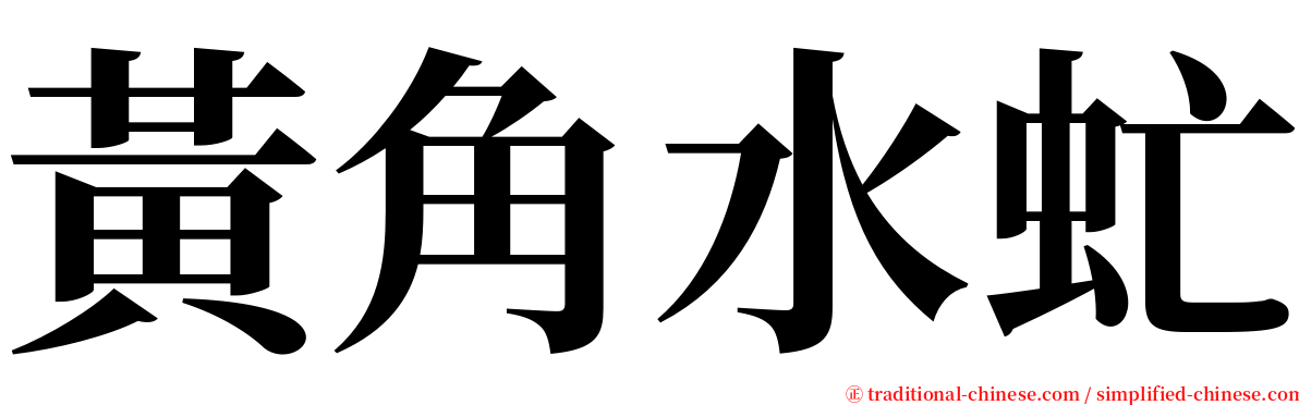 黃角水虻 serif font