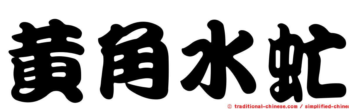 黃角水虻